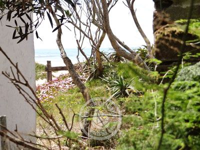 House La Perla de Élida Aguas Dulces