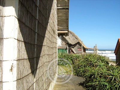 Apartamento Nelsiquieta - A364  Aguas Dulces