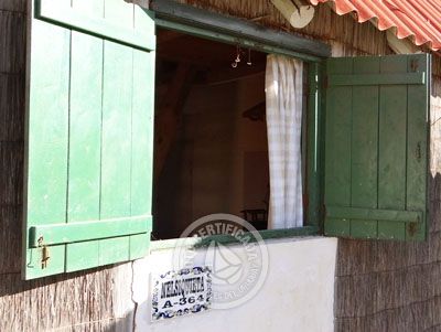 Apartamento Nelsiquieta - A364  Aguas Dulces