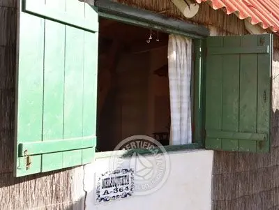 Apartamento Nelsiquieta - A364  Aguas Dulces