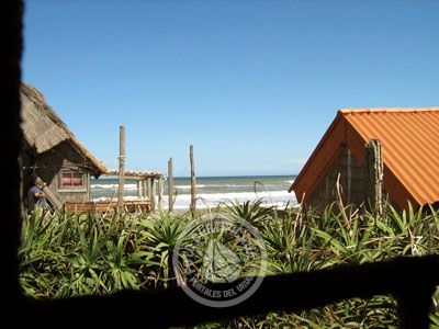 Apartamento Nelsiquieta - A364  Aguas Dulces