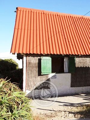 Apartamento Nelsiquieta - A364  Aguas Dulces