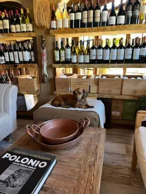 Hotel Hostería La Perla del Cabo Cabo Polonio