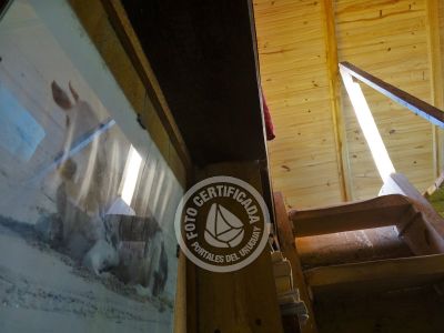 Cabaña Baca Cabo Polonio