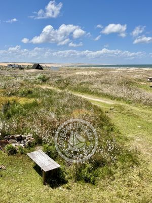 Cabin Baca Cabo Polonio