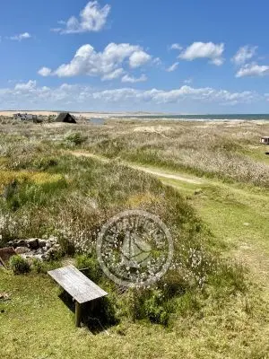 Cabana Baca Cabo Polonio