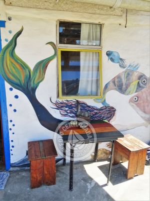 Hostel Viejo Lobo Hostel Cabo Polonio