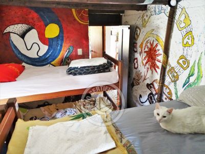 Hostel Viejo Lobo Hostel Cabo Polonio