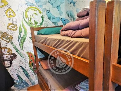 Hostel Viejo Lobo Hostel Cabo Polonio