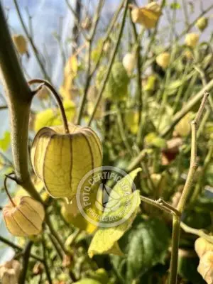 Inn Posada de las Noctilucas Cabo Polonio