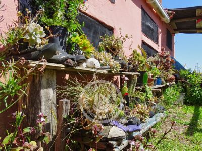 Apartamento Rosada de los Corvinos - Monoambiente Cabo Polonio