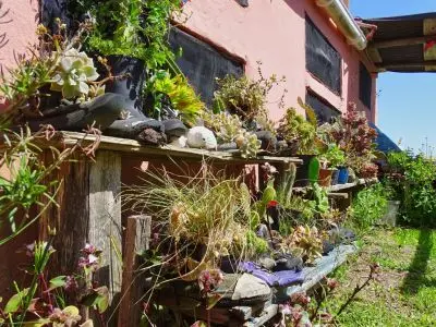 Apartment Rosada de los Corvinos - Monoambiente Cabo Polonio