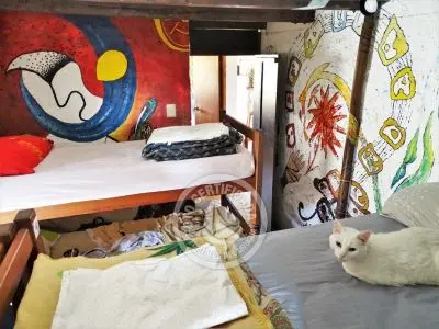 Hostel Viejo Lobo Hostel - Compartida Cabo Polonio