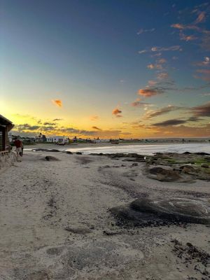 Restaurant La Perla del Cabo Cabo Polonio