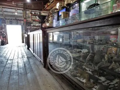 Supermercado, mercado e suprimentos El Templao Cabo Polonio