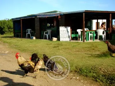 Restaurant La Majuga Cabo Polonio