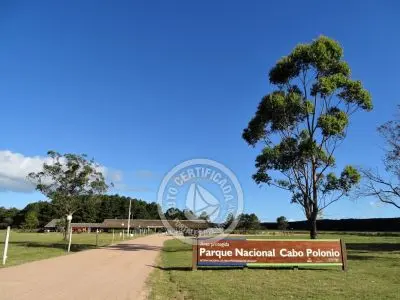 Transporte Puerta del Polonio - Terminal de ingreso a Cabo Polonio Cabo Polonio