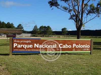 Transport Puerta del Polonio - Terminal de ingreso a Cabo Polonio Cabo Polonio