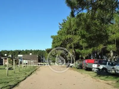 Transporte Puerta del Polonio - Terminal de ingreso a Cabo Polonio Cabo Polonio