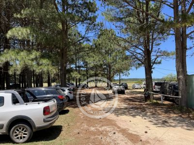 Puerta del Polonio - Cabo Polonio