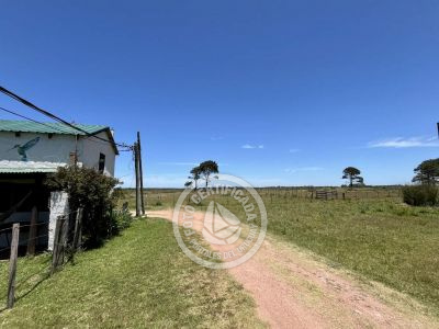 Cabin Decir Amigos Valizas