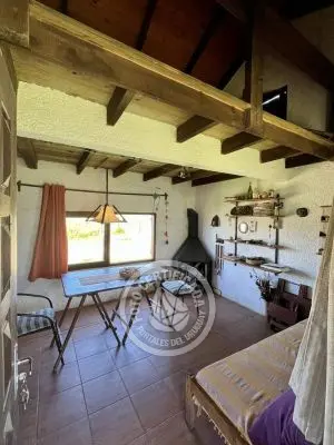 Cabin Decir Amigos Valizas