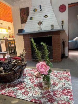 House Los Girasoles Valizas