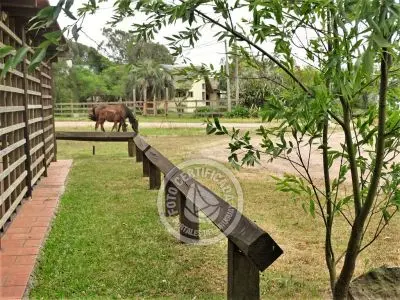 Dulce morada Valizas