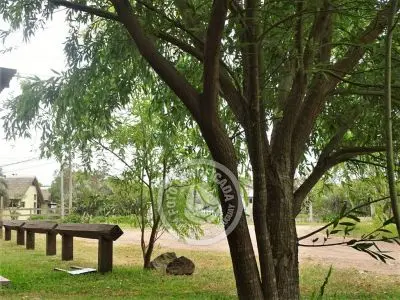 Dulce morada Valizas