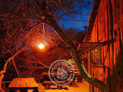 Pub La Casita del Arbol Valizas