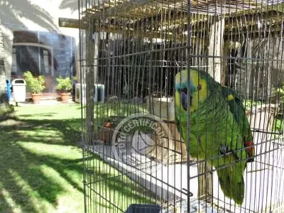 Hotel Hotel Parque Oceánico La Coronilla