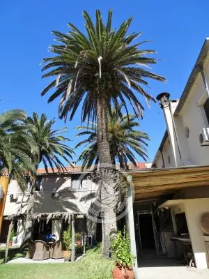 Hotel Hotel Parque Oceánico La Coronilla