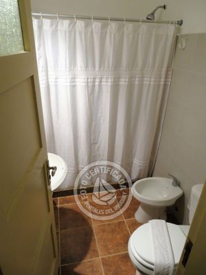 Hotel Hotel Parque Oceánico - Vista al parque La Coronilla