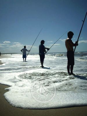 Club Club de Pesca La Coronilla