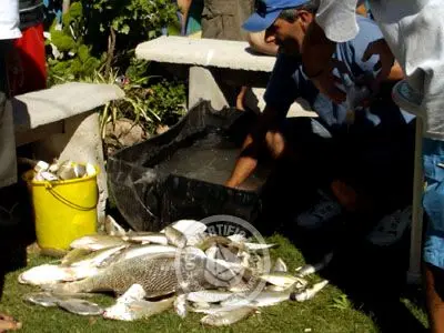 Club Club de Pesca La Coronilla