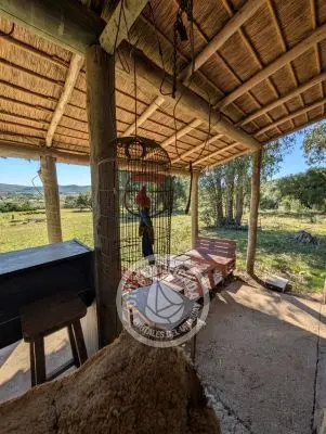 Villa Oriente Serrano Villa Serrana