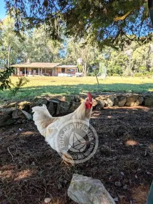 Villa Oriente Serrano Villa Serrana