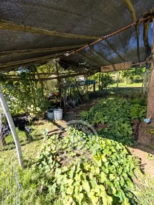 Villa Oriente Serrano Villa Serrana