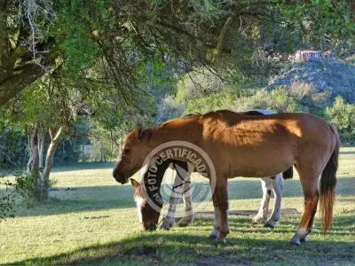 Meson de las Canas - Villa Serrana