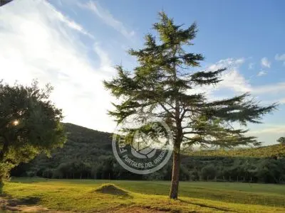 Meson de las Canas - Villa Serrana