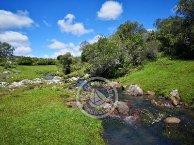 Complejo Cabañas Miraflores Villa Serrana