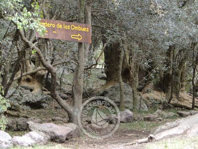 Outdoor activities Cerro Arequita - Bosque de Ombúes Villa Serrana