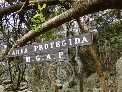 Passeio e Atividades Cerro Arequita - Bosque de Ombúes Villa Serrana