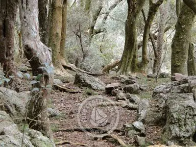 Passeio e Atividades Cerro Arequita - Bosque de Ombúes Villa Serrana