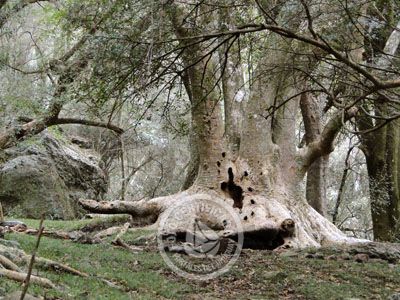 Outdoor activities Cerro Arequita - Bosque de Ombúes Villa Serrana