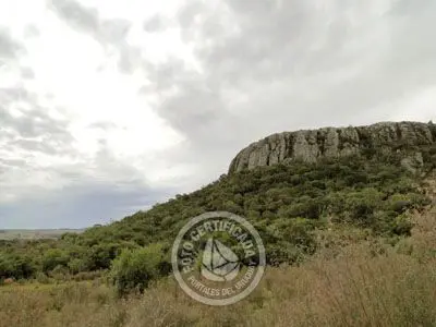Passeio e Atividades Cerro Arequita - Bosque de Ombúes Villa Serrana