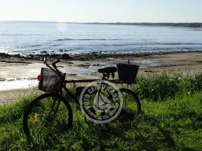 Playa Verde - Localidades