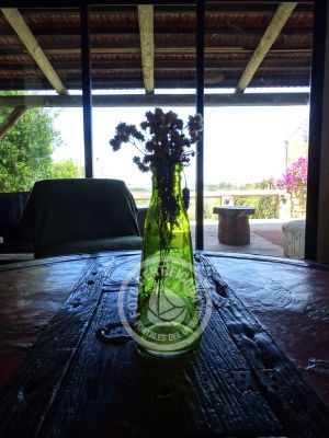 House El Guitarrero Villa Serrana