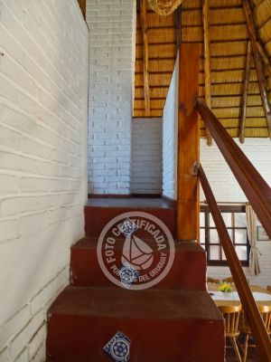 Casa Albiceleste La Paloma