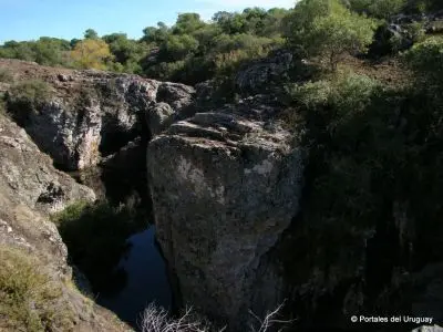 Laureles - Tacuarembó